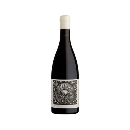 Project Z Cinsault, Kleine Zalze, Stellenbosch, 2021