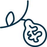 Fresh fruit and vanilla 1