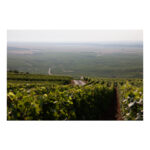 Michel Gonet, Blanc de Blancs, Grand Cru Mesnil-sur-Oger, Extra-Brut, 2015