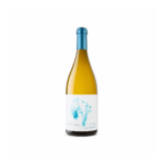 Summer Dreams, Walking on Venice Beach Sauvignon Blanc, Sonoma Coast, 2022