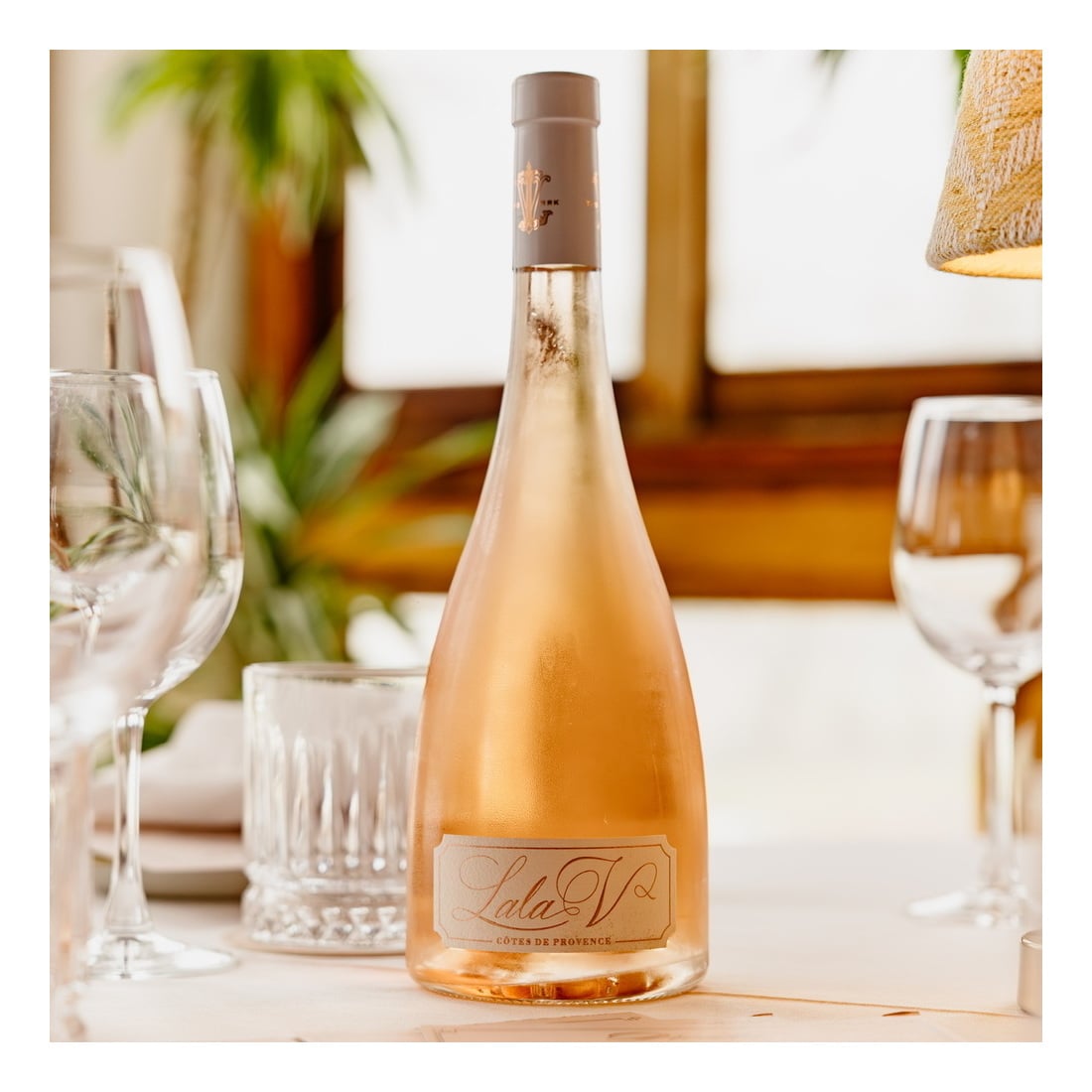 Lala V, Provence Rose