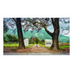 Vina Sena - Vertical Wine Tasting - 24th September - 6:30pm
