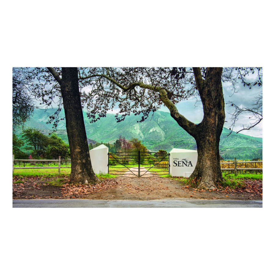 Vina Sena - Vertical Wine Tasting - 24th September - 6:30pm