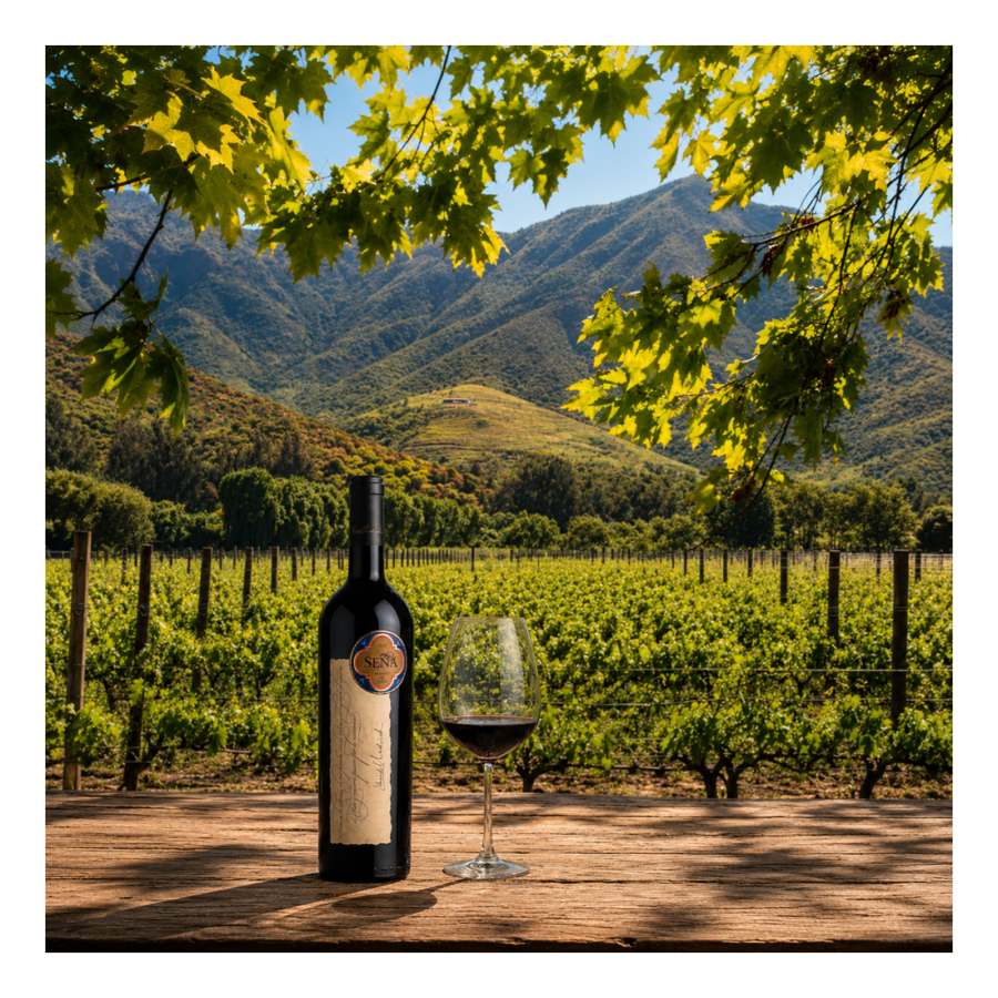 Vina Sena - Vertical Wine Tasting - 24th September - 6:30pm